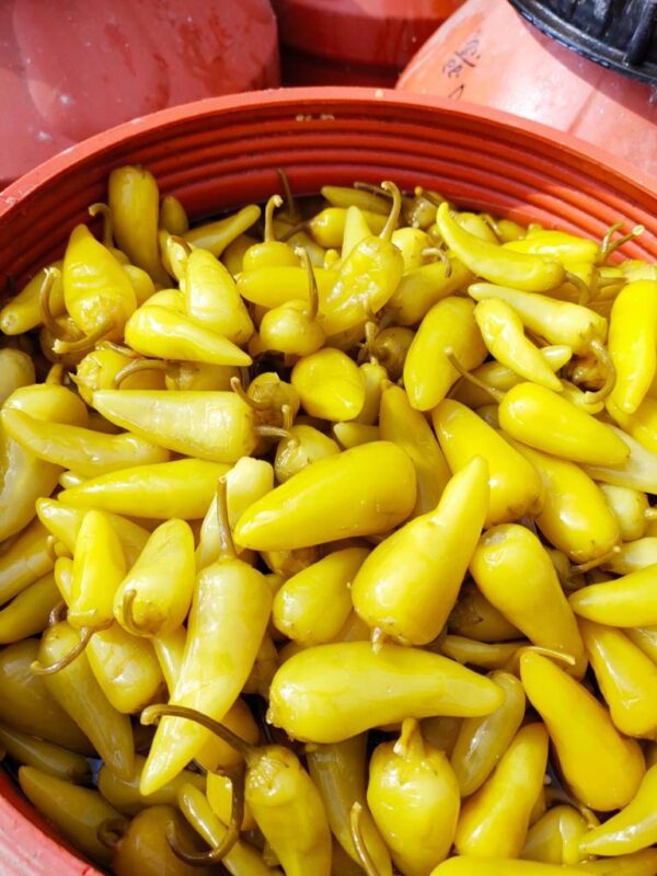 Yellow Mexican peppers - Image 4