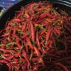 PiriPiri Pepper Hot Red