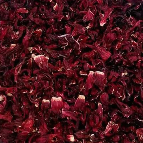 Hibiscus