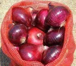 Red onion