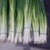Onion
