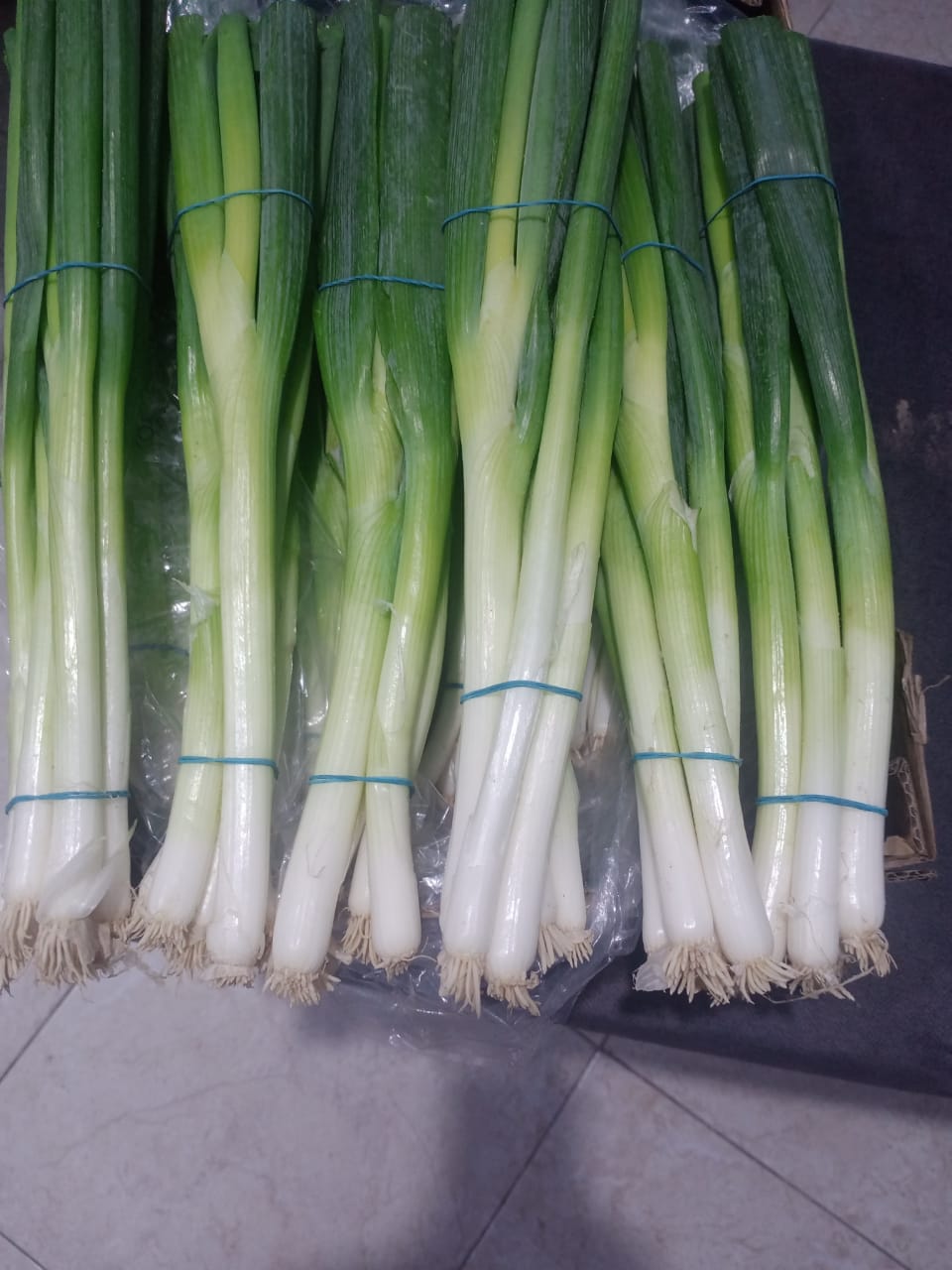 Onion