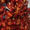 Jalapeno Pepper Hot Red Cut