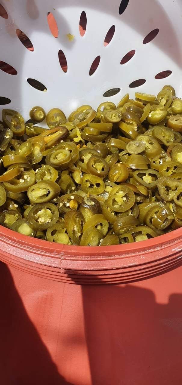 Jalapeno Pepper Hot Green Cut