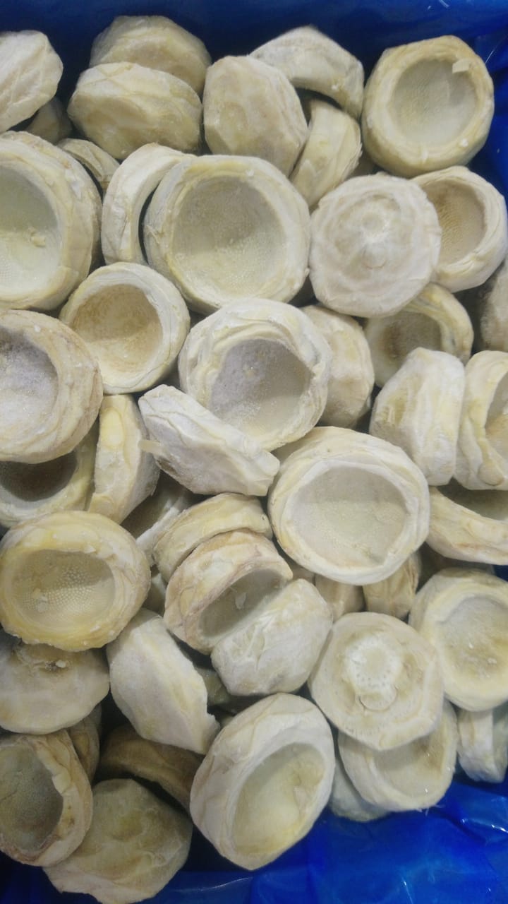 Frozen artichoke
