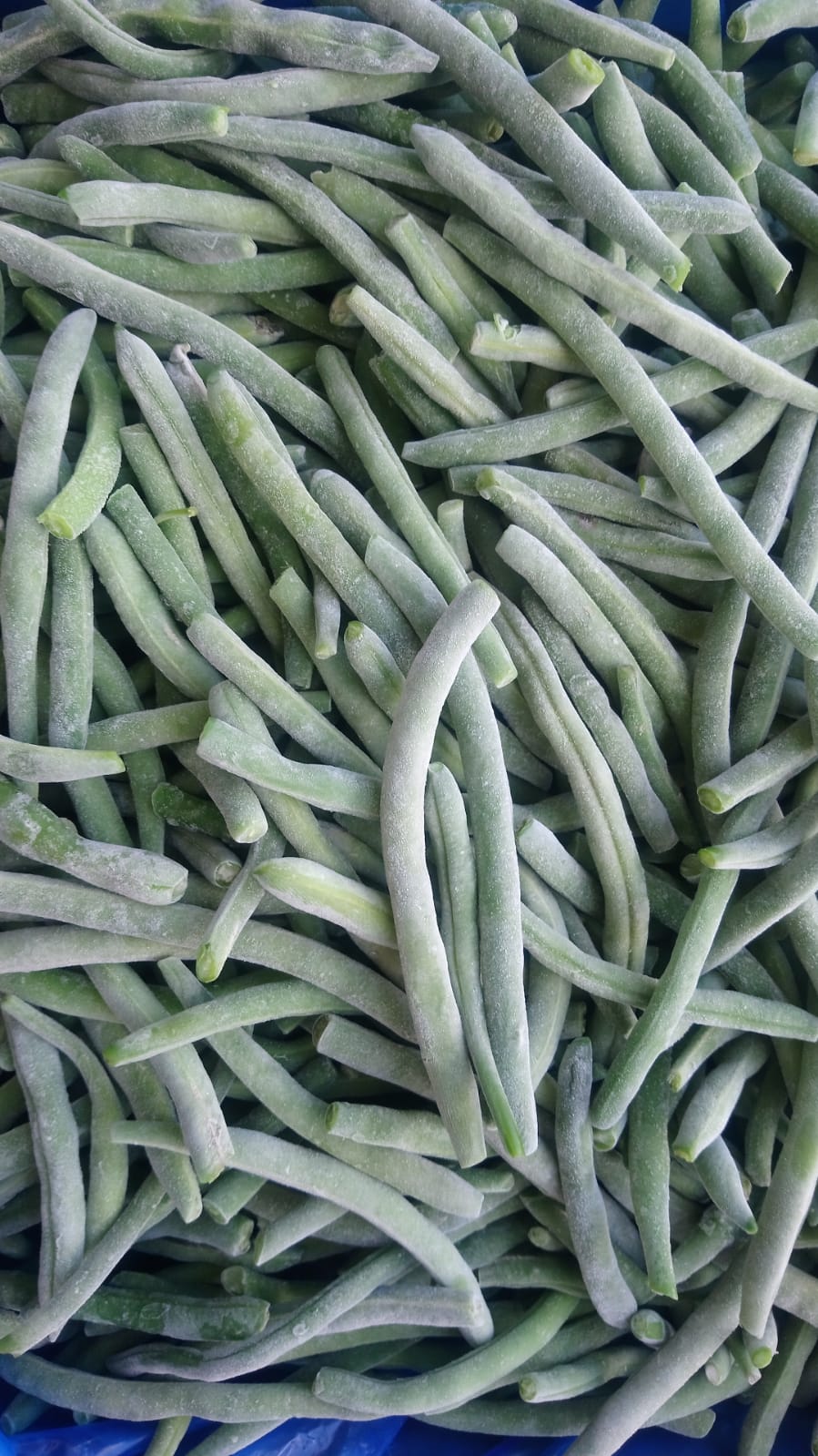 Frozen whole beans