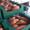 Sweet yam