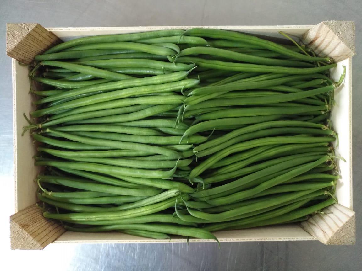 Green beans