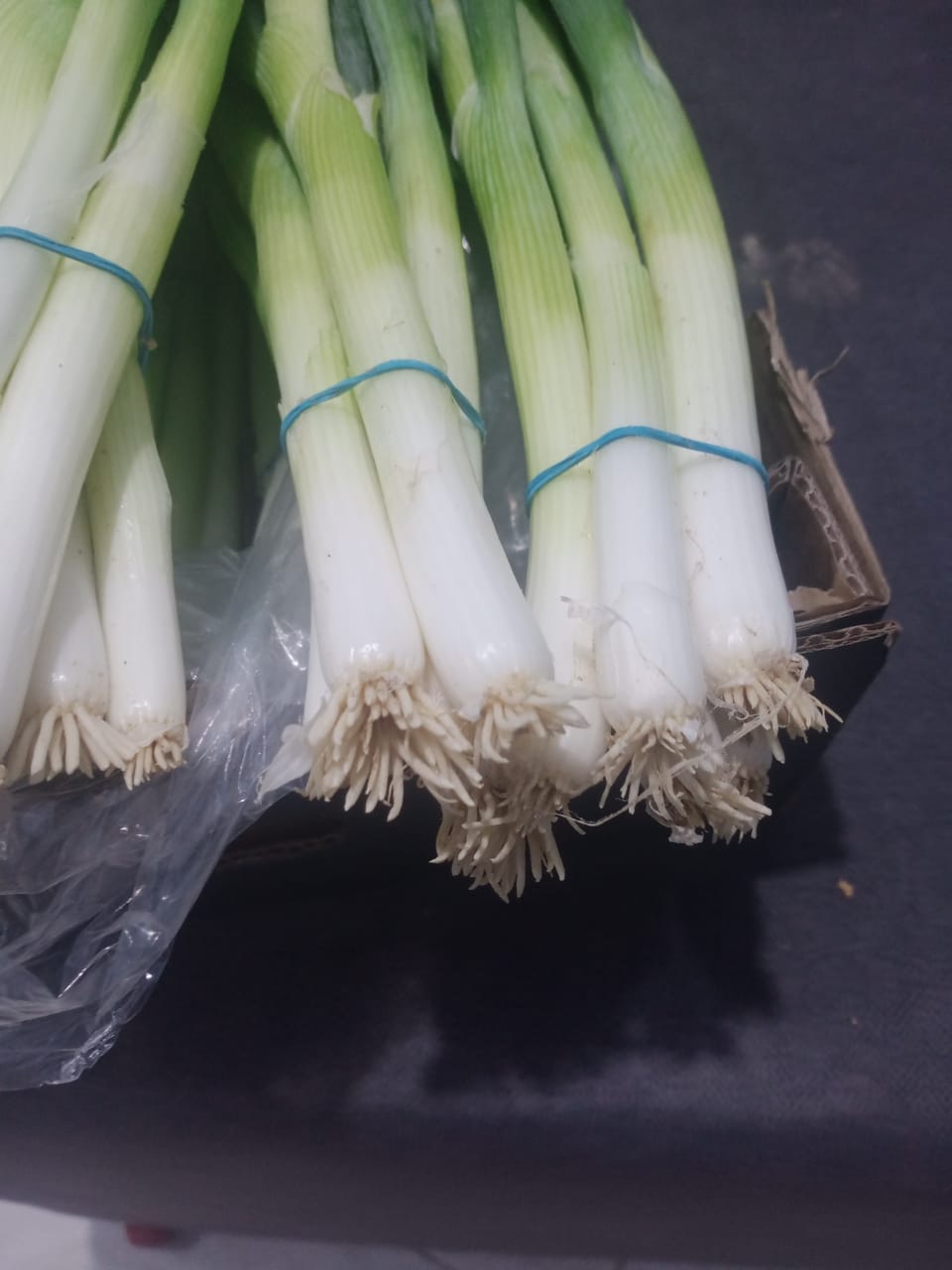 Onion