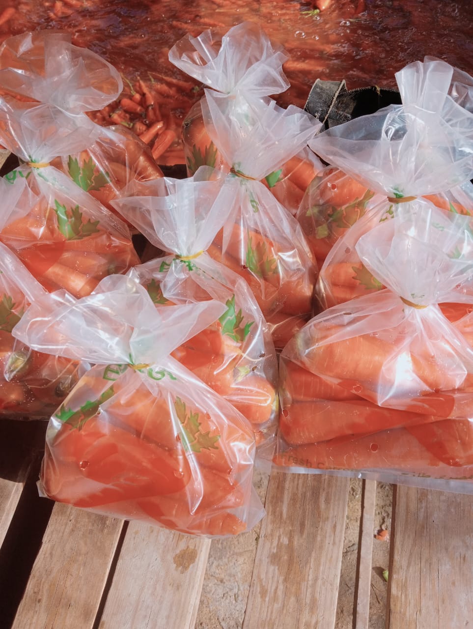 Carrot