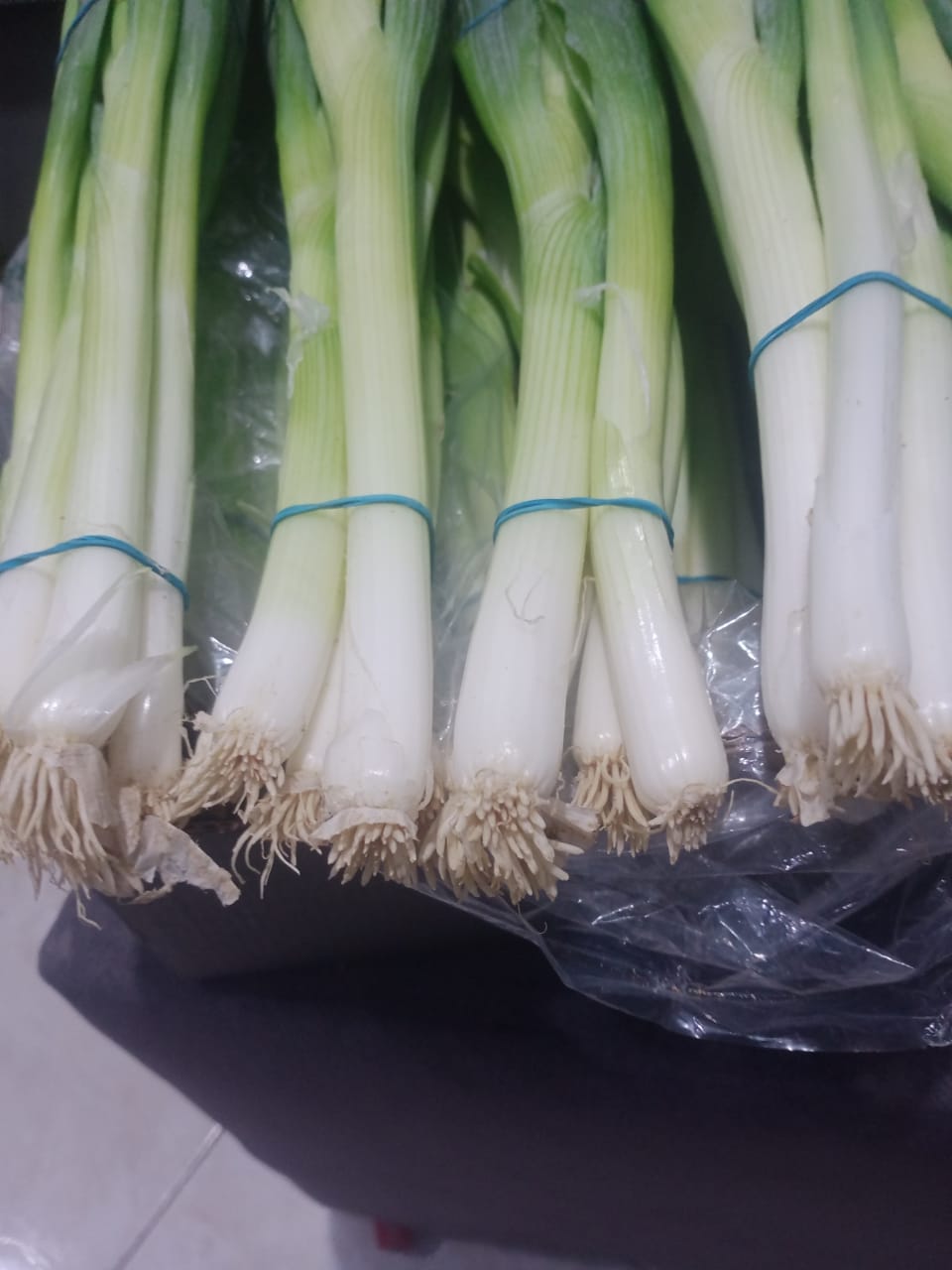 Onion