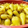 Mexican Pepper