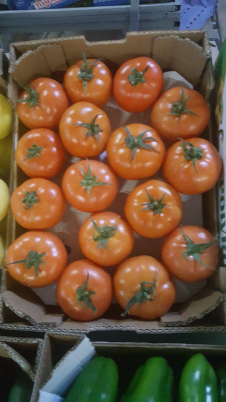 Tomato