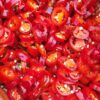 Jalapeno Pepper Hot Red Cut