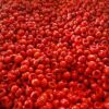Cherry red pepper pitted