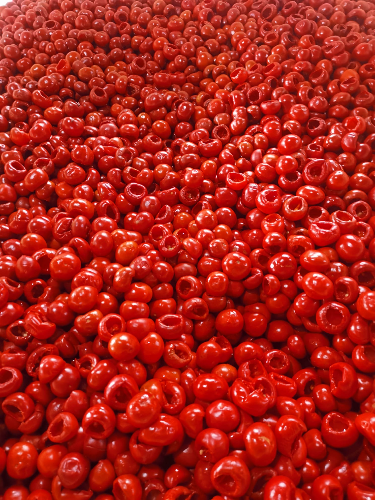 Cherry red pepper pitted