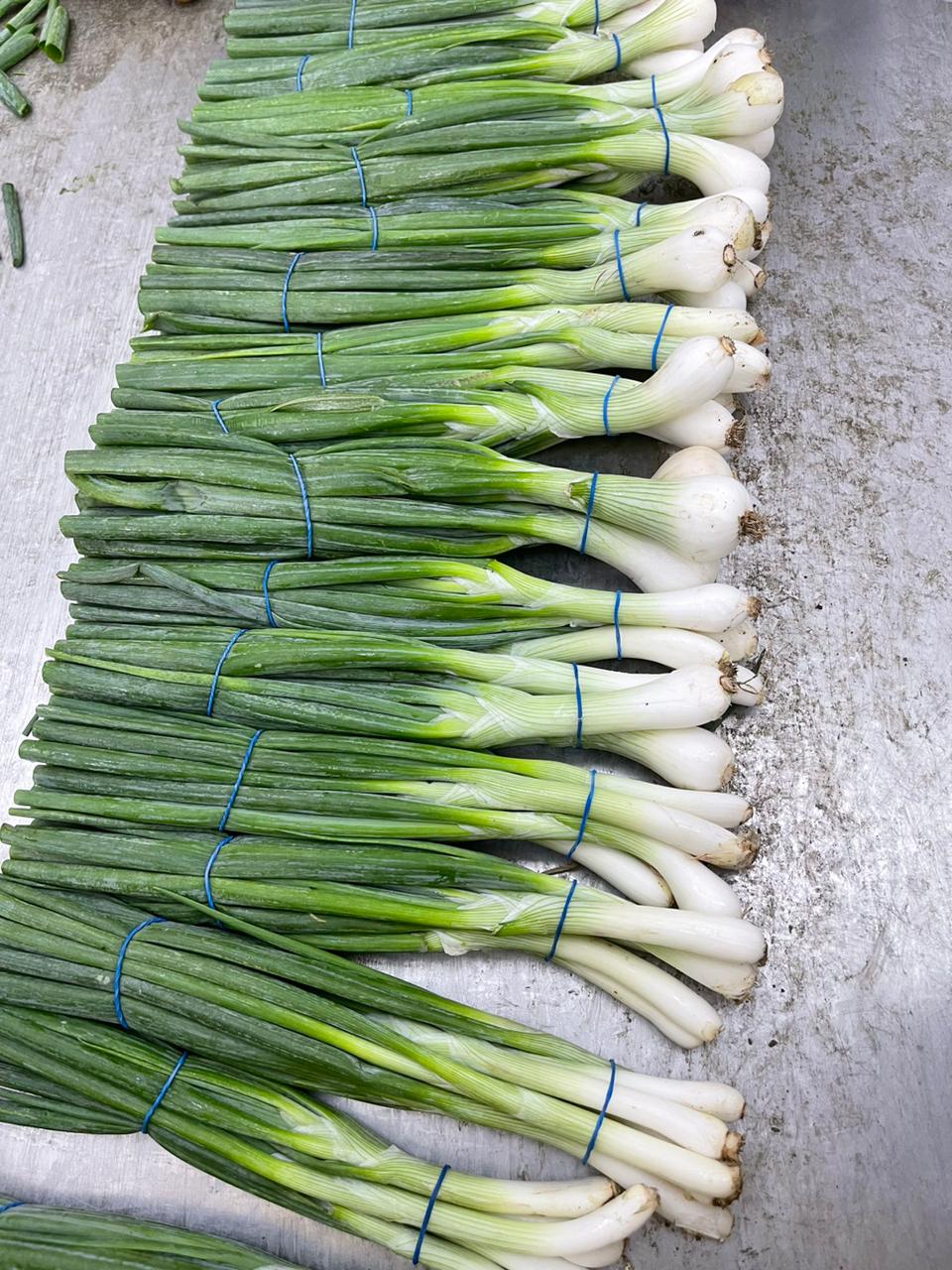 Onion