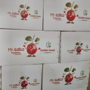 Canned tomato concentrate 4500g