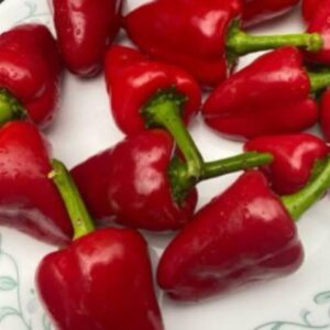 Cardoula peppers