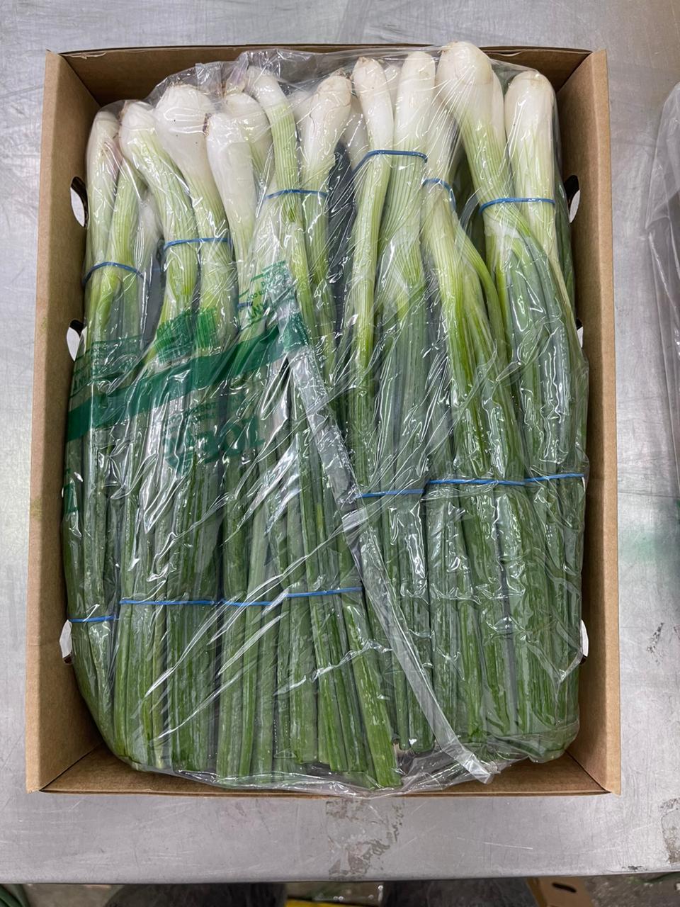 Onion