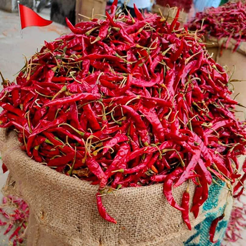 Chilli
