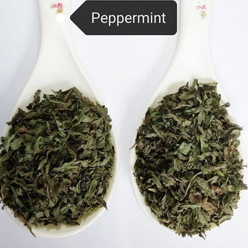 Peppermint