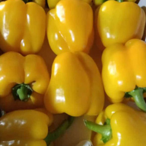 Yellow peppers