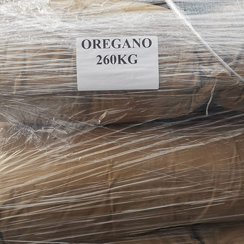 Oregano