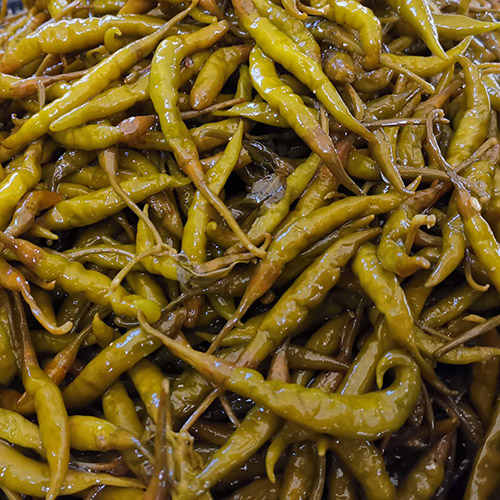 PiriPiri Pepper Hot Green