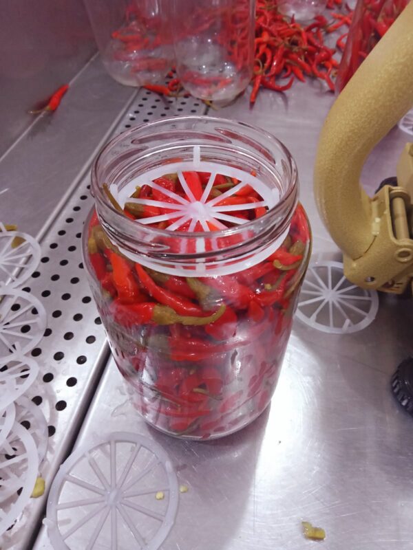 Whole hot piri piri peppers