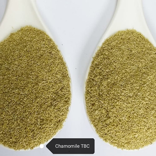 Chamomile TBC