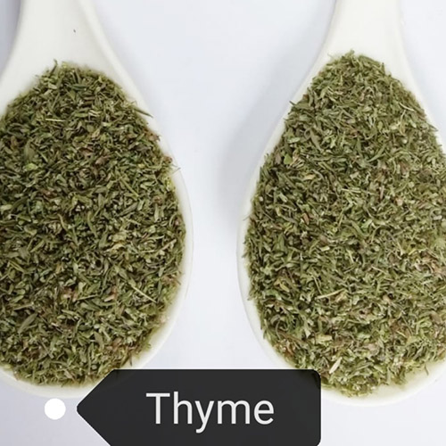 Thyme