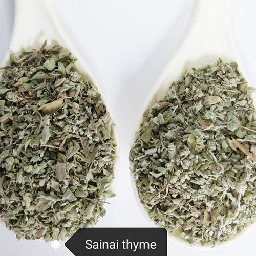 Siamese thyme